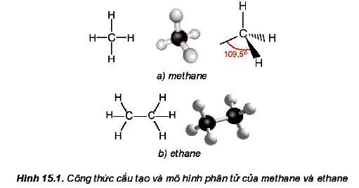 Đặc điểm cấu tạo alkane