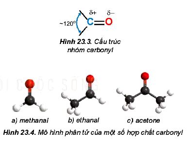 Đặc điểm cấu tạo carbonyl