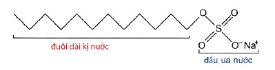 Đặc điểm cấu tạo tính chất xà phòng và chất giặt rửa
