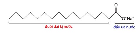 Đặc điểm cấu tạo tính chất xà phòng và chất giặt rửa