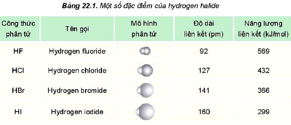 Đặc điểm Hydrogen Halide