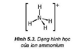 Dạng hình học của ion ammonium