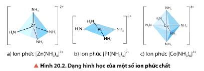 Dạng hình học của ion phức chất