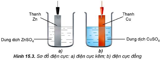 Điện cực