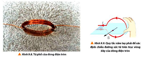 Đường sức từ của dòng điện tròn