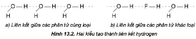 Hai kiểu tạo thành liên kết hydrogen