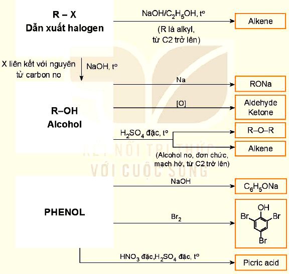 Hệ thống kiến thức ôn tập chương 5