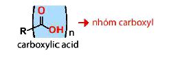 Khái niệm carboxylic acid