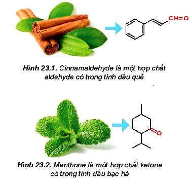 Khái niệm hợp chất  carbonyl