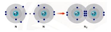 Liên kết giữa 2 nguyên tử Nitrogen