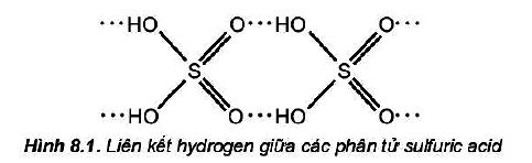 Liên kết hydrogen trong phân tử sulfuric acid