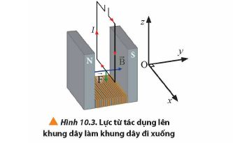 Lực từ tác dụng lên khung dây| lý thuyết vật lí 12 bài 10 chân trời sáng tạo