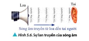 Lý thuyết Vật lí 11 Chân trời sáng tạo bài 5