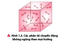 Mô hình động học phân tử