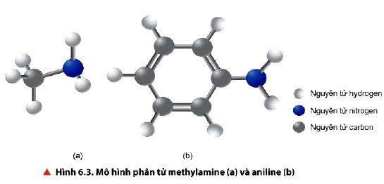 Mô hình phân tử của methylamine và aniline