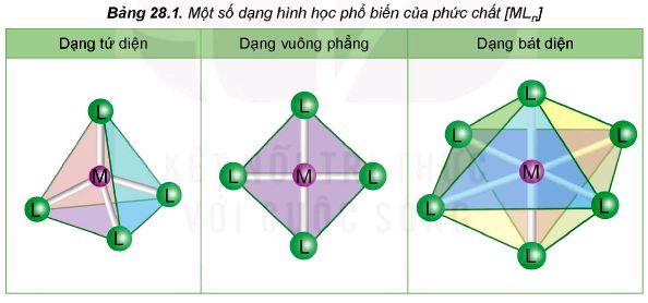 Một số dạng hình học của phức chất