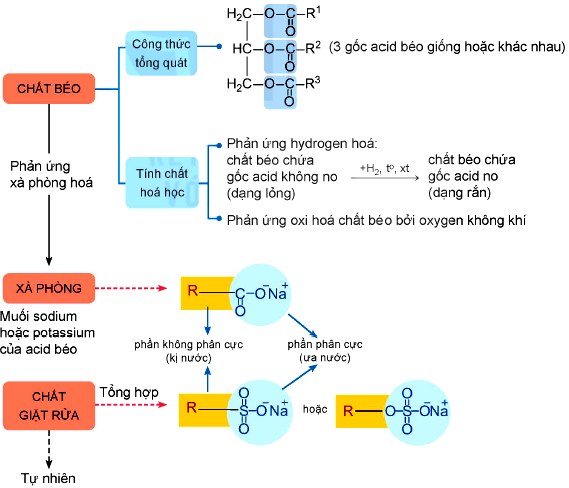 Ôn tâp Chất béo, Xà phòng, Chất giặt rửa