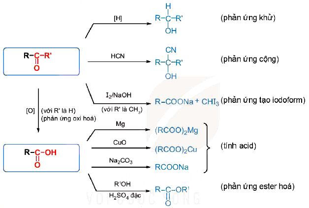 Ôn tập chương 6 hóa 11 bài 25 Kết nối tri thức