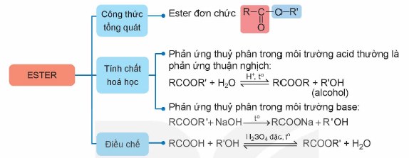 Ôn tập Ester