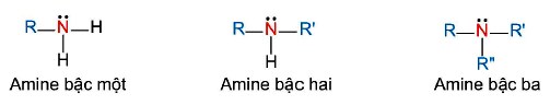 Phân loại Amine