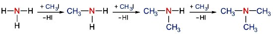 Alkyl hóa ammonia