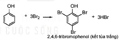 Phản ứng bromine hóa phenol