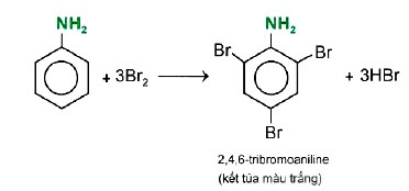 Phản ứng aniline tác dụng với bromine