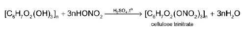 Phản ứng của cellulose với nitric acid