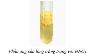 Phản ứng của lòng trắng với acid Nitric