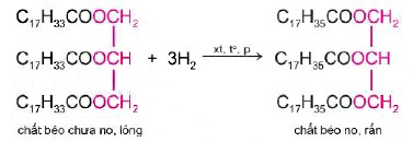 Phản ứng hydrogen hóa chất béo