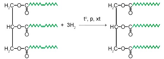 Phản ứng hydrogen hoá