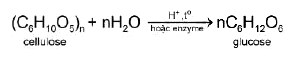 Phản ứng thủy phân Cellulose