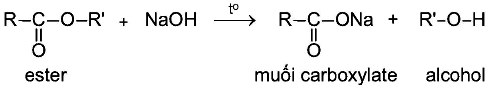 Phản ứng thuỷ phân ester