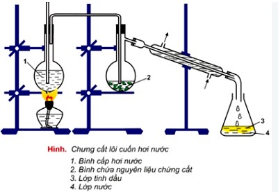 Lý thuyết Hóa học 10 Kết nối tri thức Mở đầu