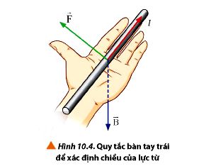 Quy tắc bàn tay trái xác định chiều lực từ| Lý thuyết Vật lí 12 bài 10 Chân trời sáng tạo