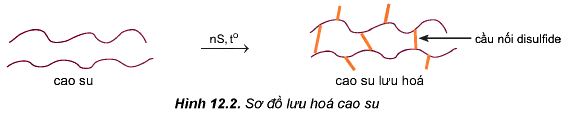 Sơ đồ lưu hóa cao su