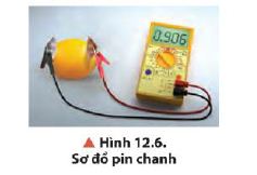 Sơ đồ pin chanh