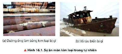 Sự ăn mòn kim loại trong tự nhiên