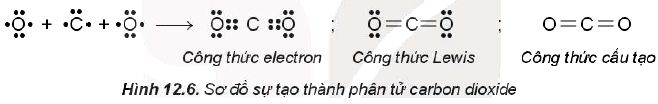 Sự hình thành phân tử carbon dioxide