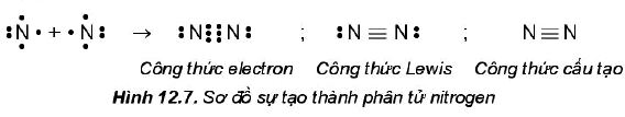 Sự hình thành phân tử Nitrogen