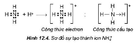 Sự tạo thành ion NH4+