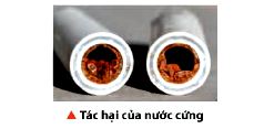 Tác hại của nước cứng