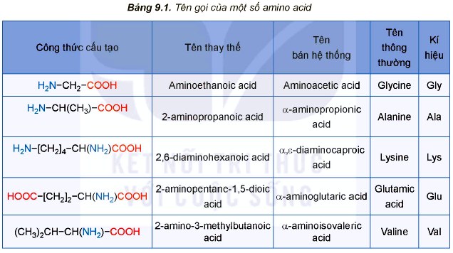 Tên gọi một số amino acid