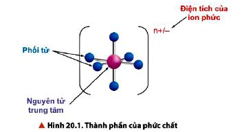 Thành phần và dạng hình học của phức chất