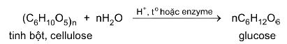 Thủy phân tinh bột, cellulose