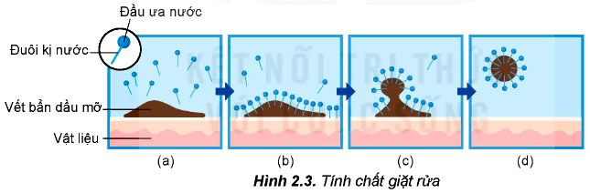 Tính chất giặt rửa