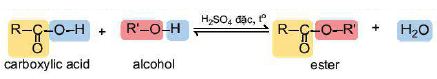 Tính chất hóa học của carboxylic acid