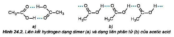 Tính chất vật lí carboxylic acid