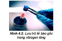 Tính chất vật lí của nitrogen