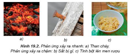 Tốc độ phản ứng hóa học